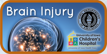 Brain Injury logo