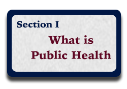 Section I: What is Public Health?